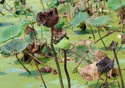 说的意思的词语(70句)