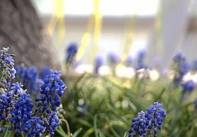 表达思想感情的词语(合集60句)