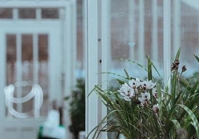 表示韵味的词语(实用40句)