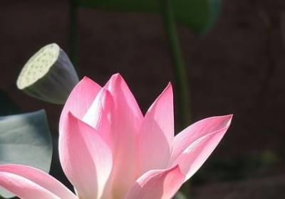 表示隆重的词语(40句)