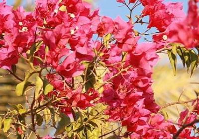 谁是卧底有创意的词语(推荐60句)