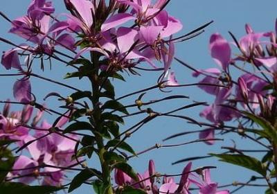 贻组词有哪些词语(共62句)