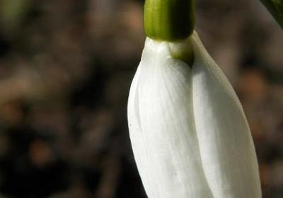 认真读书的词语(共40句)