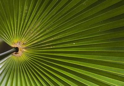 表达伤心的词语(推荐51句)