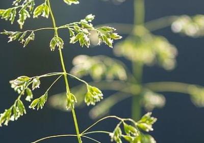 赞美医生的四字词语(必备50句)