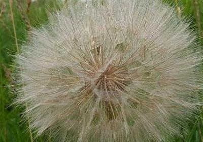 词语接龙诗书(汇总40句)