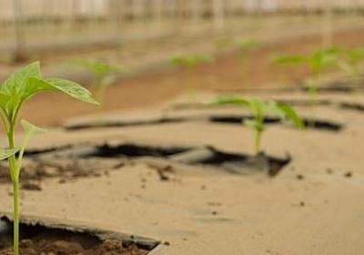 有关专注的名言(实用63句)