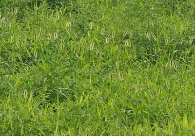 有关力量的名言(优选50句)