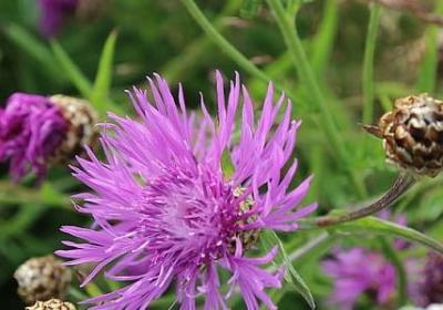 有关热情的名言(合集50句)