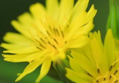 钱的词语有哪些(精选71句)