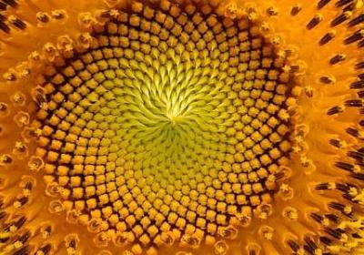 阅兵式类似的词语(通用15句)