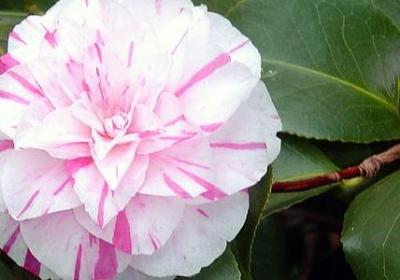 有关勤俭节约的名言(精选100句) 有关勤俭节约的名言(精选100句)