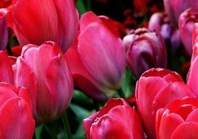 易经名言警句(通用60句)