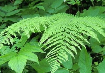 时间过的快的名言(实用11句)