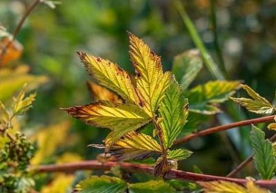 热爱祖国的名言(精选40句) 热爱祖国的名言(精选40句)