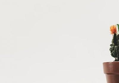 转来转去照样子写词语(精选80句)