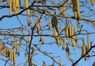 激励学习的名人名言(必备50句) 激励学习的名人名言(必备50句)