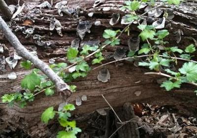 爱情的名人名言(推荐74句)