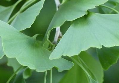 赞美画的词语(精选51句) 赞美画的词语(精选51句)