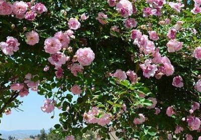 有哪些名人名言(实用80句)