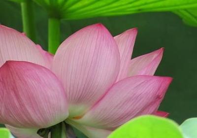 零可以组什么词语(共50句) 零可以组什么词语(共50句)