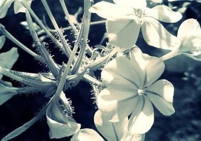 水浒传名言名句(优选50句) 水浒传名言名句(优选50句)