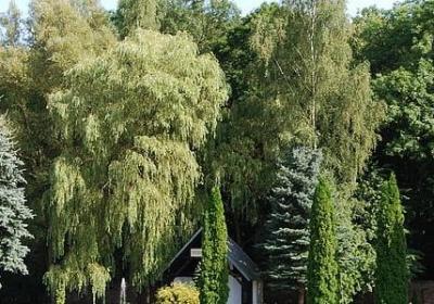 激励人读书的名言(实用80句)