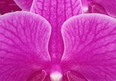 有爱心的名言(实用80句)