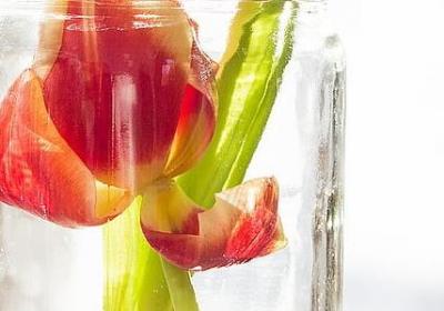 珍惜时间的名言或诗句(通用40句)