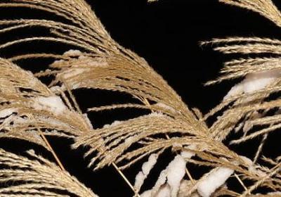 沟通的名言名句(实用100句)