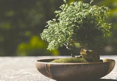 欧文励志名言(59句)