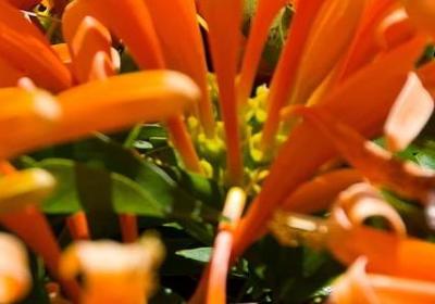 熟能生巧的名言(精选80句)