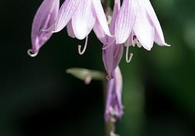 朋友的名人名言(共20句)