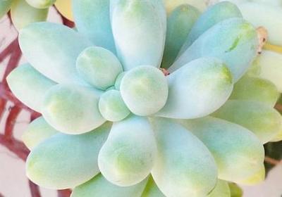 爱惜粮食名言(汇总80句)