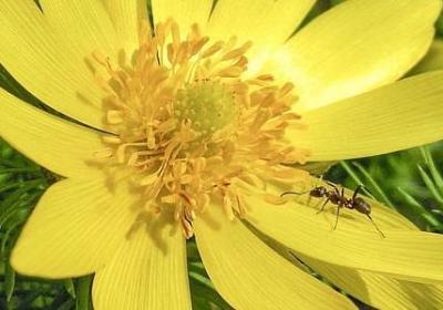 松下幸之助名言(汇总50句)