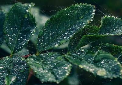 激励自己的名言(汇总40句)