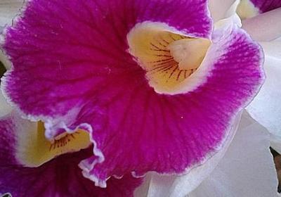 知识名言警句(热门40句)