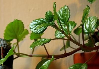 比尔盖茨名言(热门82句)