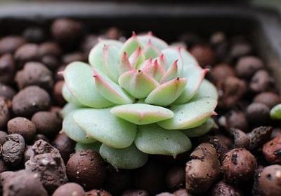 珍惜时间的名言名句(合集80句)