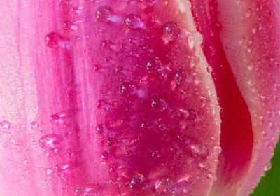 男女平等的名言(推荐20句)