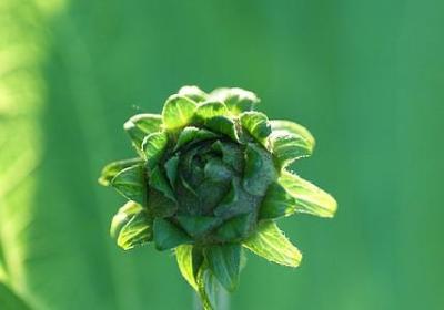 王者荣耀励志名言(通用92句)