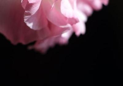 目标的名言警句(热门60句)