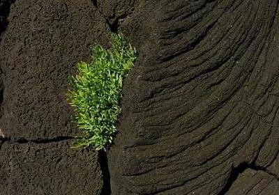 爱读书的名言(推荐80句)