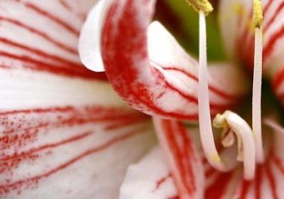 珍惜青春的名言(推荐50句)