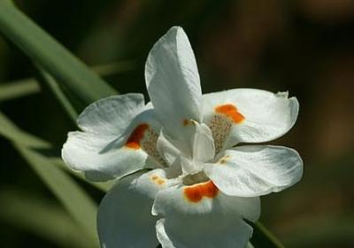 爱因斯坦名言警句(热门50句) 爱因斯坦名言警句(热门50句)