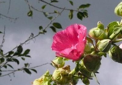 英语的名言警句(合集120句)