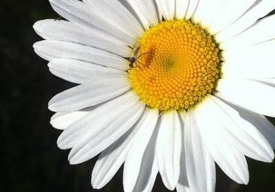 教一声组词语(实用40句) 教一声组词语(实用40句)