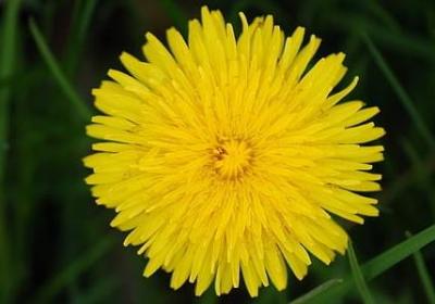 摘抄词语大全(优选59句)