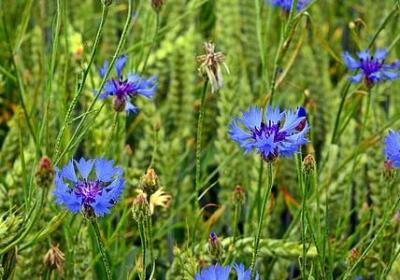 新可以组什么词语(优选25句) 新可以组什么词语(优选25句)