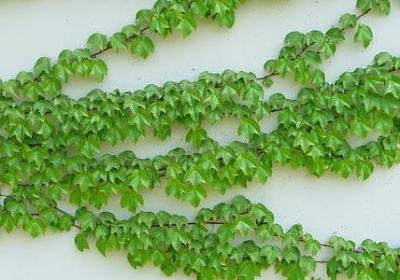 比较有意境的词语(优选37句) 比较有意境的词语(优选37句)